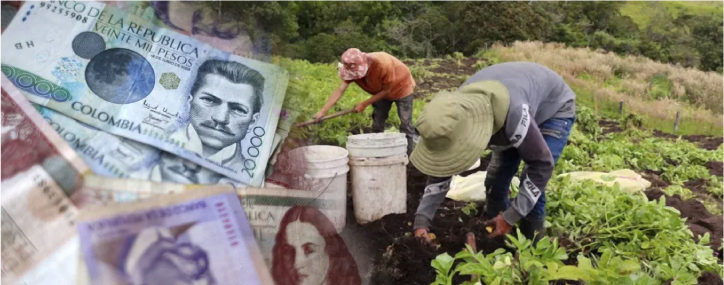 Cómo aplicar para préstamos productivos especiales para el agro colombiano.