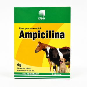 AMPICILINA