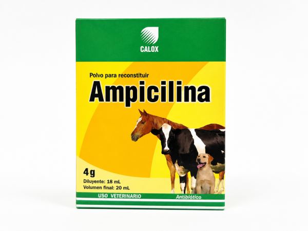 AMPICILINA