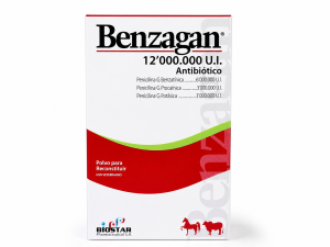 BENZAGAN