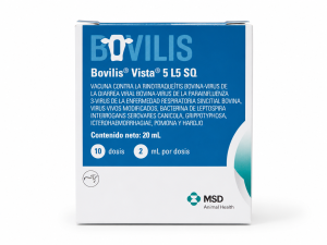 BOVILIIS 5 L5
