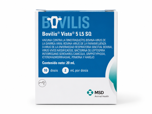 BOVILIIS 5 L5
