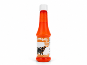 CALFON ENERGY