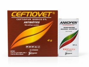 CEFTIOVET 4 GR + ANKOFEN 50 ML