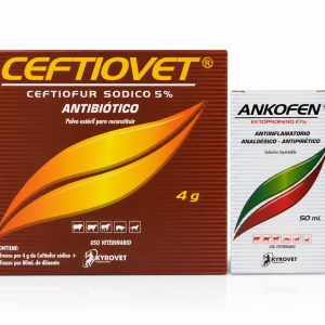 CEFTIOVET 4 GR + ANKOFEN 50 ML