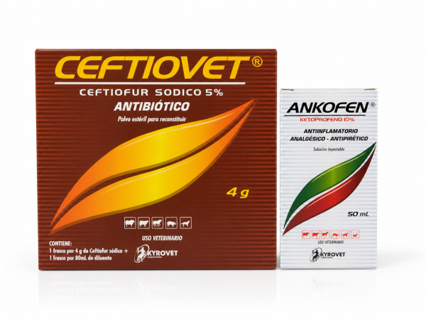 CEFTIOVET 4 GR + ANKOFEN 50 ML