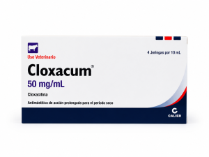 CLOXACUM