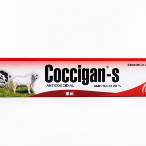 COCCIGAN