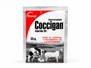 COCCIGAN