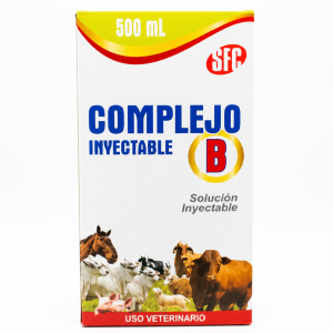 COMPLEJO B SFC