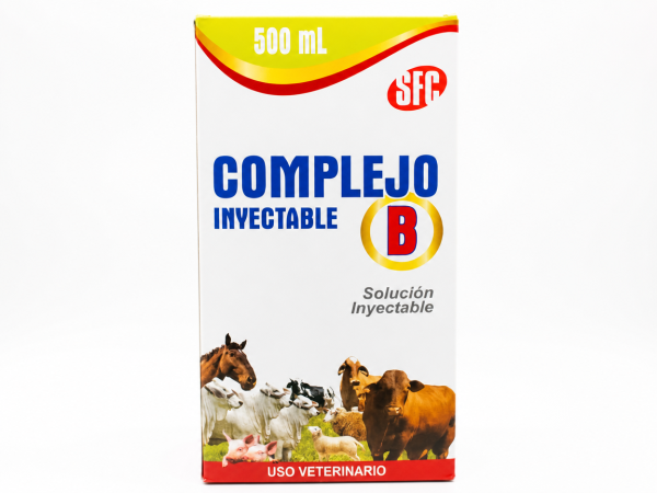 COMPLEJO B SFC