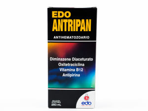 EDO ANTRIPAN
