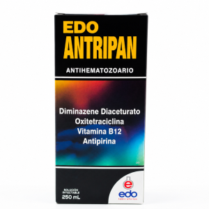EDO ANTRIPAN
