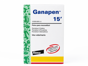GANAPEN