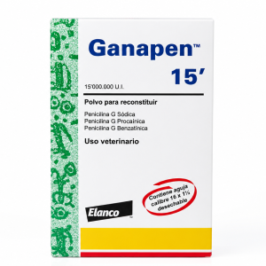 GANAPEN