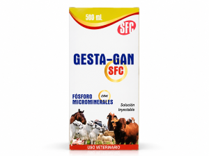 GESTAGAN