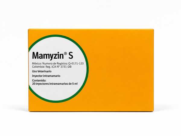 MAMYZIN S