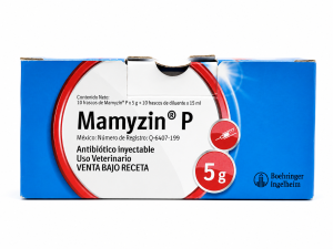 MAMYZIN P
