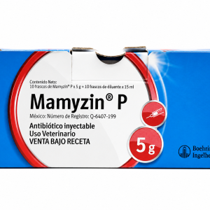 MAMYZIN P
