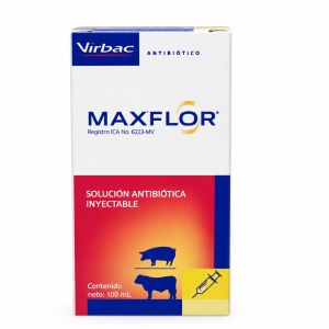MAXFLOR