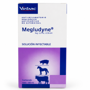 MEGLUDYNE