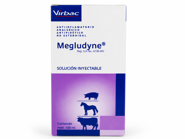MEGLUDYNE