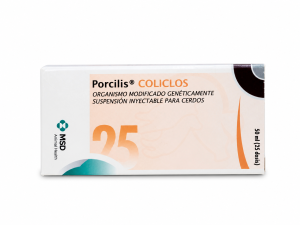PORCILIS COLICLOS