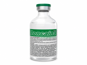 RONCAINA
