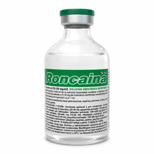 RONCAINA