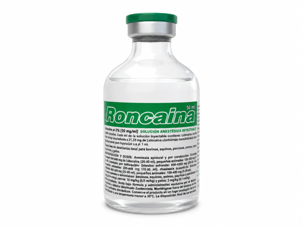 RONCAINA
