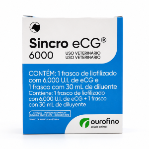 SINCRO ECG 6000