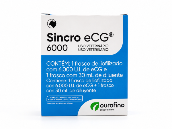 SINCRO ECG 6000