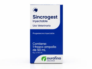SINCROGEST
