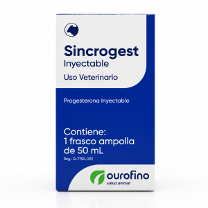 SINCROGEST