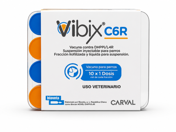 VIBIX C6R