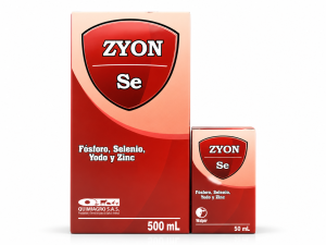 ZYON SE