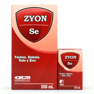 ZYON SE