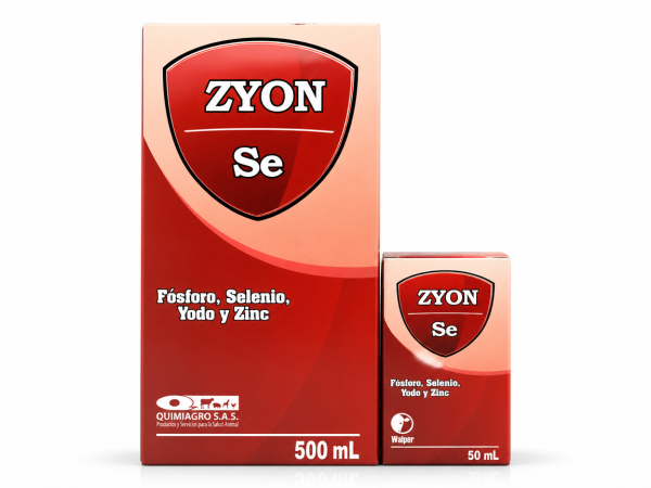 ZYON SE