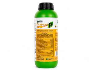 ACTIPHYL ENERGY