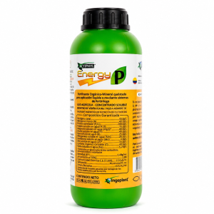 ACTIPHYL ENERGY
