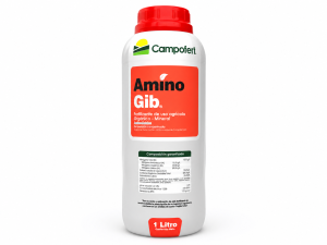AMINOGIB