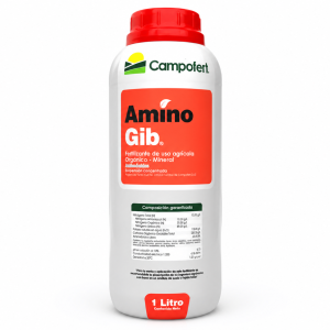 AMINOGIB