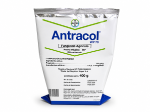 ANTRACOL
