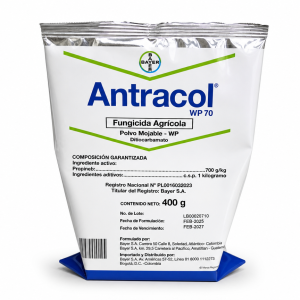 ANTRACOL