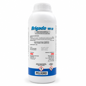 BRIGADA 100 EC