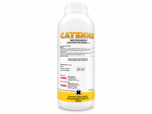 CAYENNE