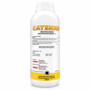 CAYENNE
