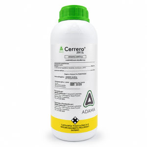 CERRERO