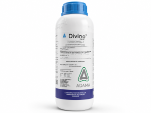 DIVINO 250