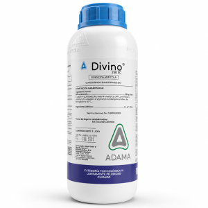 DIVINO 250